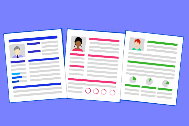 curriculum vitae layout